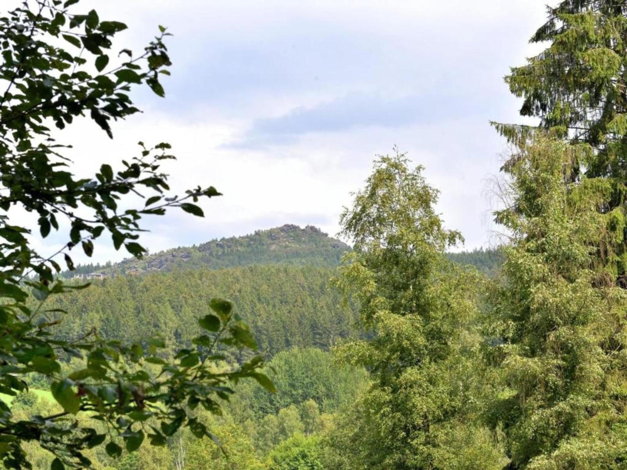 Comfort Apartment With Balcony In The Beautiful Bavarian Forest Драксельсрид Экстерьер фото
