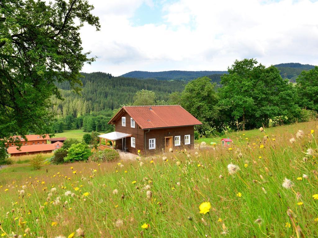 Comfort Apartment With Balcony In The Beautiful Bavarian Forest Драксельсрид Экстерьер фото